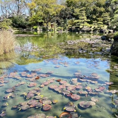 Osaka Tennoji park