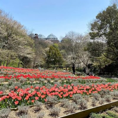 Nunobiki Herb Garden