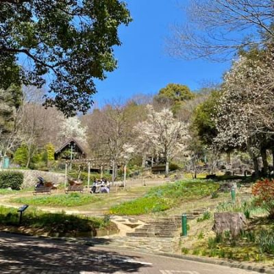 Nunobiki Herb Garden