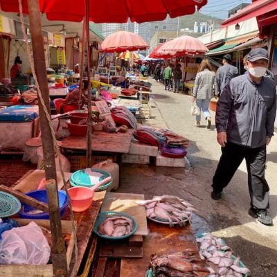 Busan fish market