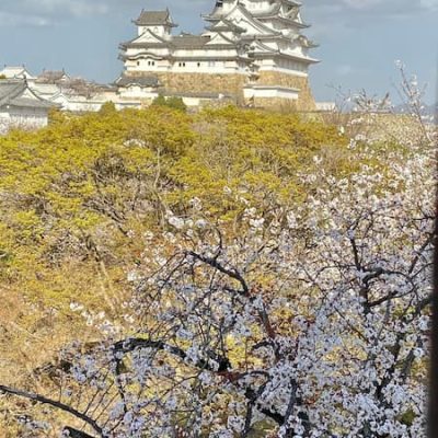Himeji castle