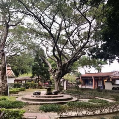 125 The Lin Family Mansion and Garden