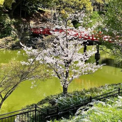 Osaka Tennoji park