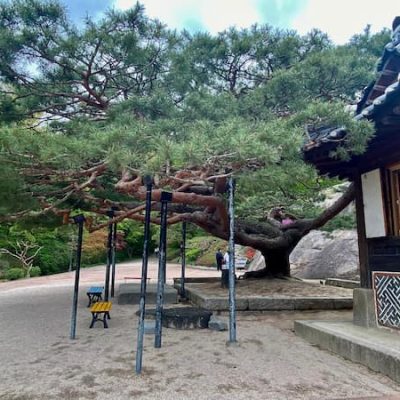 Seokpajeong garden