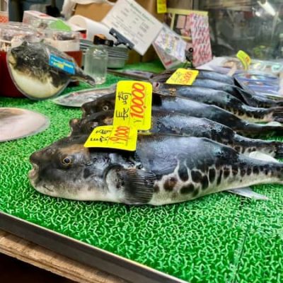Fugu