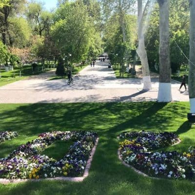 35 viale