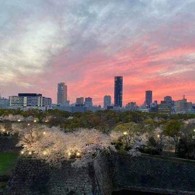 Osaka view from castle