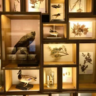 48 National Taiwan Museum