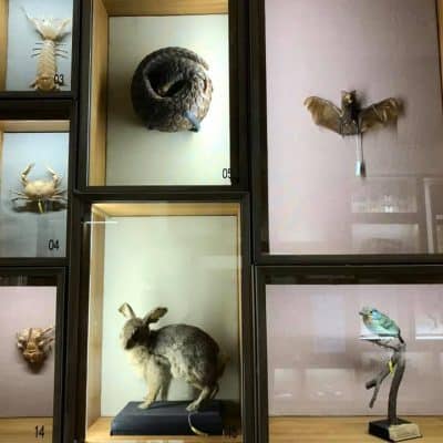 49 National Taiwan Museum