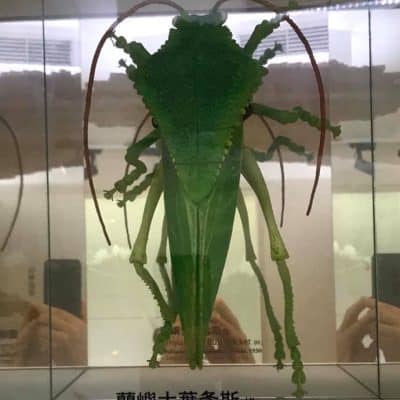 50 National Taiwan Museum