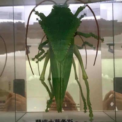 50 National Taiwan Museum