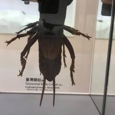 51 National Taiwan Museum