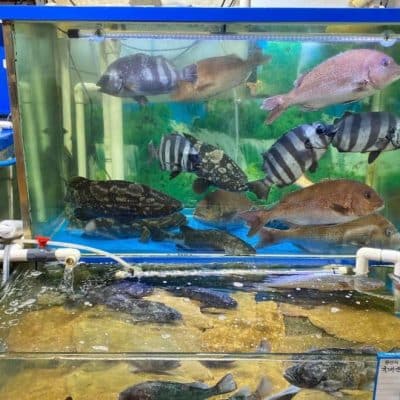 51 Noryangjin Fisheries Wholesale Market
