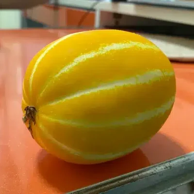 korean melon