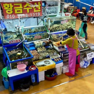 53 Noryangjin Fisheries Wholesale Market
