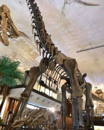 61 Land Bank Museum Taipei
