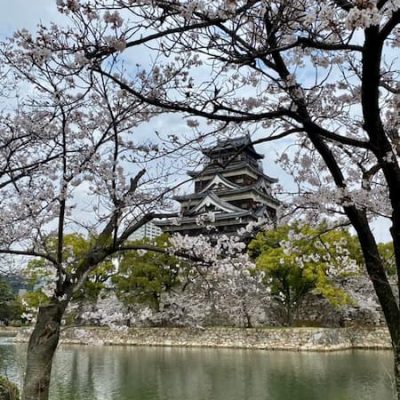Hiroshima castle