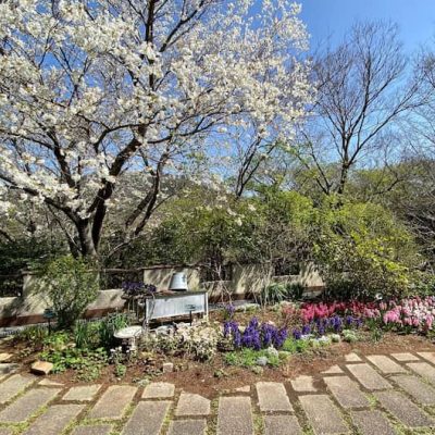 Nunobiki Herb Garden